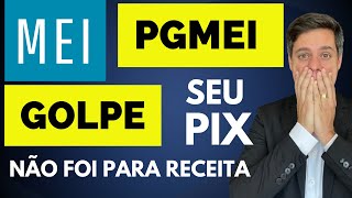 MEI  Paguei com PIX e não deu baixa  Você caiu no golpe [upl. by Glad]