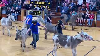 FFA Donkey basketball 2024 3rd quarter [upl. by Kolva518]