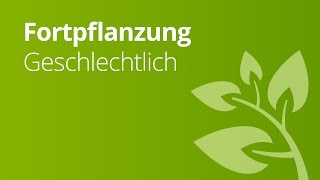 Die verschiedenen Weisen geschlechtlicher Fortpflanzung  Biologie [upl. by Apfel]