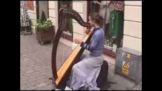 Galway Street Musicians Ireland [upl. by Gnok]