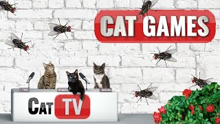 CAT TV Games  Frank the Fly 🦟  Bug Videos For Cats to Watch 😼 [upl. by Dlonyer]