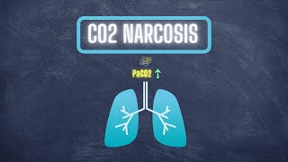 What is CO2 Narcosis Hypercapnia Causes and Pathophysiology [upl. by Alius]