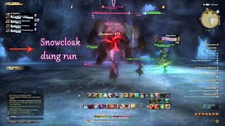 FF14 Snowcloack dungeon run Bard [upl. by Collbaith]