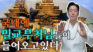 국내에 티벳에서 모시던 밀교본존 부처님들이 들어오고 있다  고정환박사제1082강 [upl. by Cowie522]