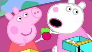 Peppa Pig en Español Episodios completos 🚌 La excursión 🚌 Peppa Pig 2019  Pepa la cerdita [upl. by Eentruok]