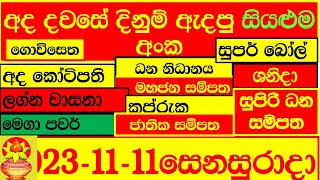 Lottery Result DLB NLB ලොතරය් දිනුම් අංක 20231111 Lottery Result Sri Lanka lotharai dinum [upl. by Bussey]