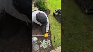 Satisfying lawn edging satisfying lawn shorts gardening [upl. by Ainotal]