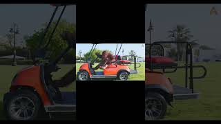 Orangutan cruisin in a golf cart [upl. by Anaytat]