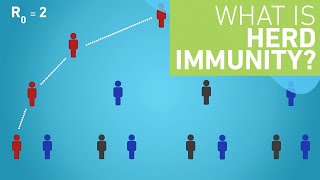 What is Herd Immunity [upl. by Kira]