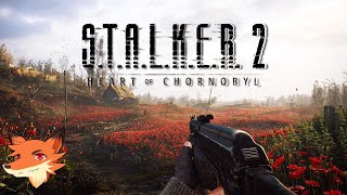 STALKER 2  LIVE  Ca y est On part explorer la zone dexclusion de Chronobyl [upl. by Racklin]