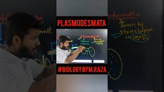 plasmodesmata cell cellbiology biology kingdomofbiology celltheunitoflifeclass11 neet 11th [upl. by Jenkel]