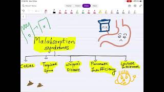 Malabsorption syndrome whipple Disease lactoseintolerance and pancreatic insufficiency [upl. by Constance]