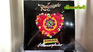 Aterciopelados  Bolero Falaz Vinyl Version [upl. by Drageruaeb]