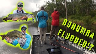 Fishing Borumba Dam 2 Days Before it FLOODED Giant TOPWATER HITS [upl. by Dieball]