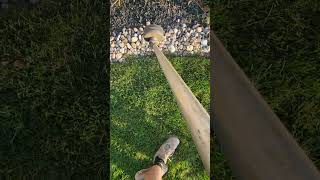 Who goes around the flower beds too lawncarebusiness lawncare viralvideo lawnmower [upl. by Molly]