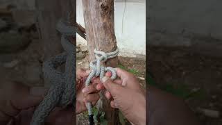 How to rope knot rope knothow shortvideo simpleknot knottutorial [upl. by Cinom]