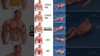 home core workout  abdominal exercises at home  sports viral [upl. by Eesak550]