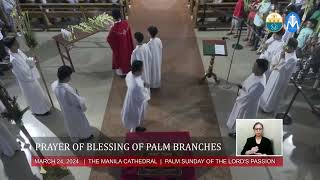 Palm Sunday of the Lord’s Passion at the Manila Cathedral  March 24 2024 1000am [upl. by Bratton322]