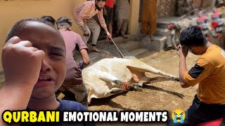 Qurbani Emotional Moment 😭 Eid Ul Adha Emotional Video ❤️ Fahad Bhai Official [upl. by Enyrehtak]