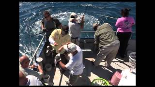 Bottom Fishing Offshore Murrells Inlet SC aboard New Inlet Princess  Reelin Up The Coast TV [upl. by Ahkihs]