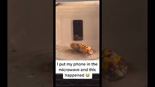 Phone in microwave experiment 🤦🏽experiment iphone microwave [upl. by Aseyt650]