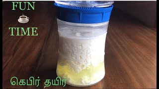 கெபிர் தயிர் எப்படி செய்வது How to make kefir Healthy probiotic drink [upl. by Rosemonde]