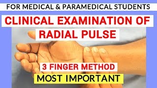 RADIAL PULSE EXAMINATION  CLINICAL LAB  PHYSIOLOGY PRACTICALS [upl. by Nednarb]