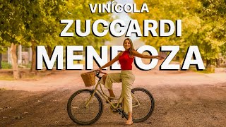 MENDOZA  Experiência na VINÍCOLA ZUCCARDI [upl. by Rehpotsirahc]