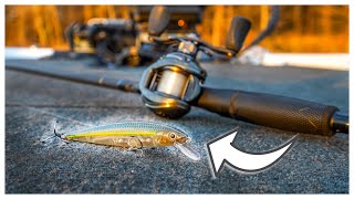 The Jerkbait Fishing Tips NO ONE Has TOLD YOU [upl. by Frere]