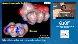 Sialic Acids in the Fine Tuning of Neurological Processes Rita GerardySchahn [upl. by Chelsie]