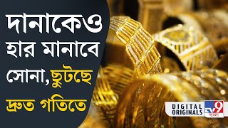 Gold Price Dhanteras ধনতেরাসের আগেই সোনার দরে বড় পরিবর্তন  TV9D [upl. by Gregoor]