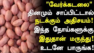 வேர்க்கடலை மருத்துவ நன்மைகள்  Groundnut Health Benefits in Tamil Health Tips in Tamil Tamil News [upl. by Alel]