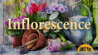 Inflorescence – Garden Glossary [upl. by Learsiy]