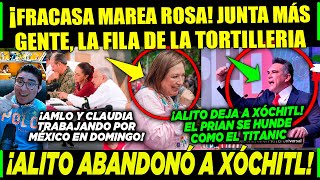 DOMINGAZO MAREA ROSA FRACASA XÓCHITL VALIÓ CHETOS ¡ALITO NO FUE POR ESTO [upl. by Yt]