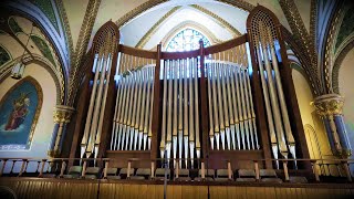 2019 Reuter  Wicks  TellersSommerhoff Organ  Basilica of St Francis Xavier Dyersville Iowa [upl. by Jodee]