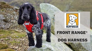 Ruffwear Front Range Harness Review [upl. by Kucik]