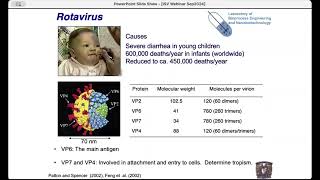 Immunogen Structure and Production Method as Determinants for Vaccine Quality [upl. by Enneles988]