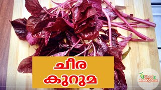 ചീര കുറുമKerala Style Cheera KurumaCheera Curry In MalayalamInnovative RecipeKerala Cheera Curry [upl. by Eirellam]