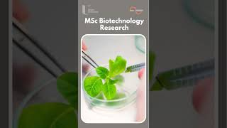 MSc Biotechnology Research biotechnology biology bioscience research ukstudyvisa biochemistry [upl. by Brear]