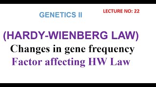 Hardy Weinberg Law  Factor Affecting Hardy Weinberg Law  genetics lectures [upl. by Vokaay246]