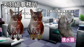 【第1回】天京戦争を猫ミーム化してみた！猫ミーム ヒューマンバグ大学 ネタ動画 [upl. by Roscoe]