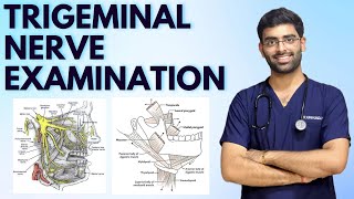 TRIGEMINAL NERVE EXAMINATION  CRANIAL NERVE EXAMINATION  NEUROLOGY [upl. by Joly]