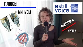 Estill Voice Training  самая популярная вокальная техника краткий обзор [upl. by Ewart]