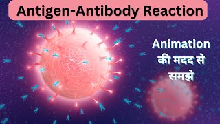 Antigen Antibody Reaction  Animation  Hindi  Microbiology  AgAb [upl. by Htebazileyram]