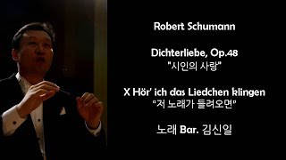 바리톤 김신일 슈만 시인의 사랑 no10 Schumann Dichterliebe Op48 [upl. by Rotce53]