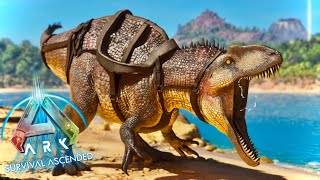 Acrocanthosaurus In Ark Acended Showcase and Spawn Command [upl. by Hound]