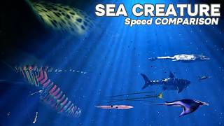 FASTEST Sea Creatures on the Planet  Speed Comparison [upl. by Ori]