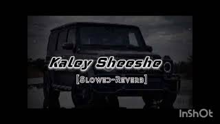 Kaley Sheeshe  Tu Hai Gentleman HaMain Balak Desi  Slowed amp Reverb [upl. by Helmer]