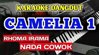 CAMELIA 1 KARAOKE DANGDUT NADA COWOK PRIA RALL [upl. by Curson]