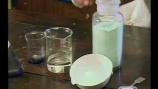 Chemistry  Acids Bases and Salts Using Different Methods of Making Salts [upl. by Jack298]